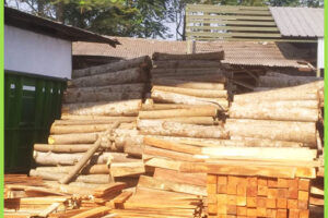 jual-pallet-dadu-jabodetabek-10 jual-pallet-dadu-jabodetabek-10